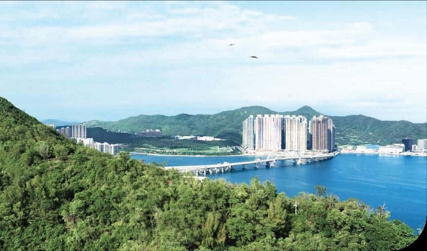 維港海濱景色